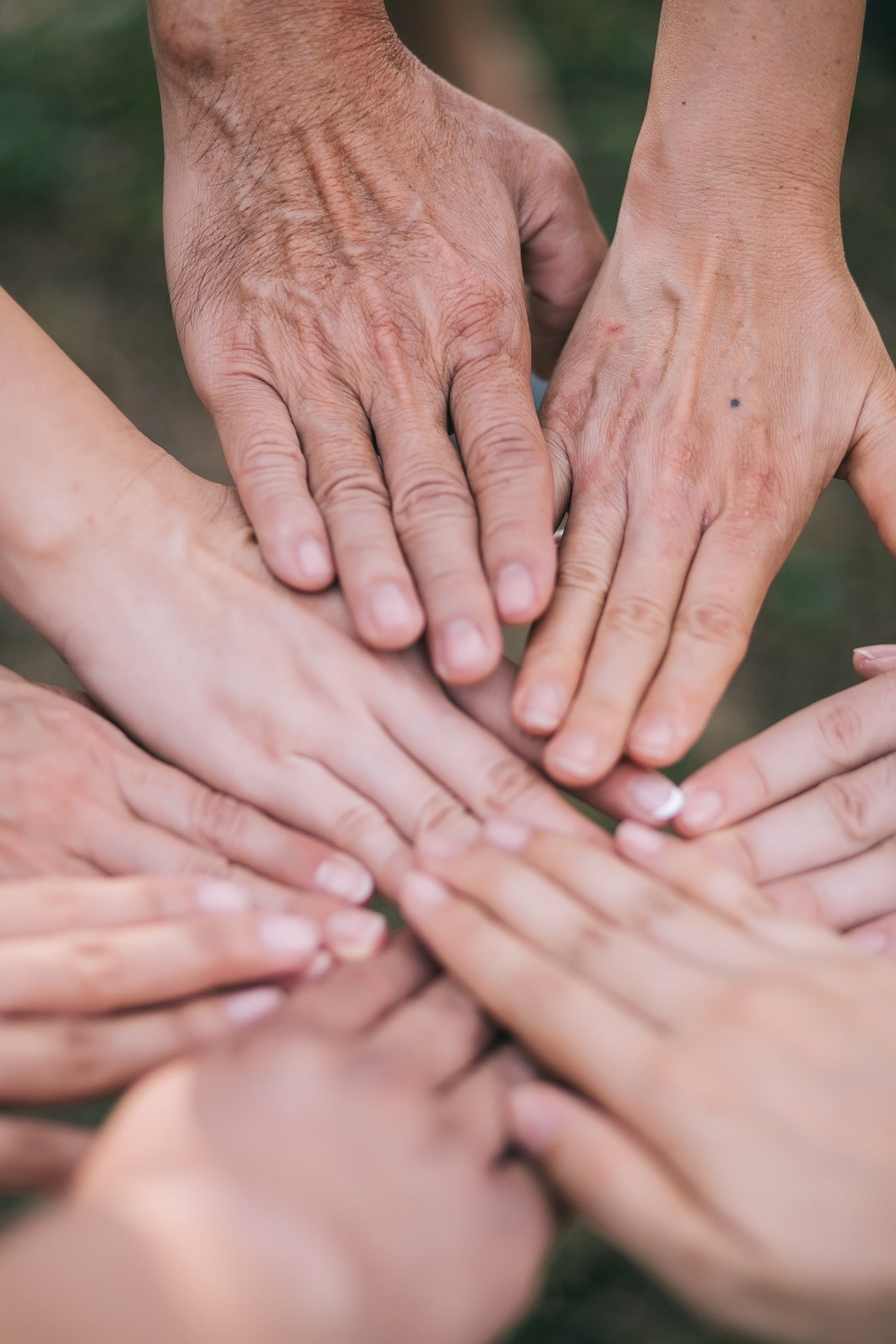 Support Verified and Trusted NGOs